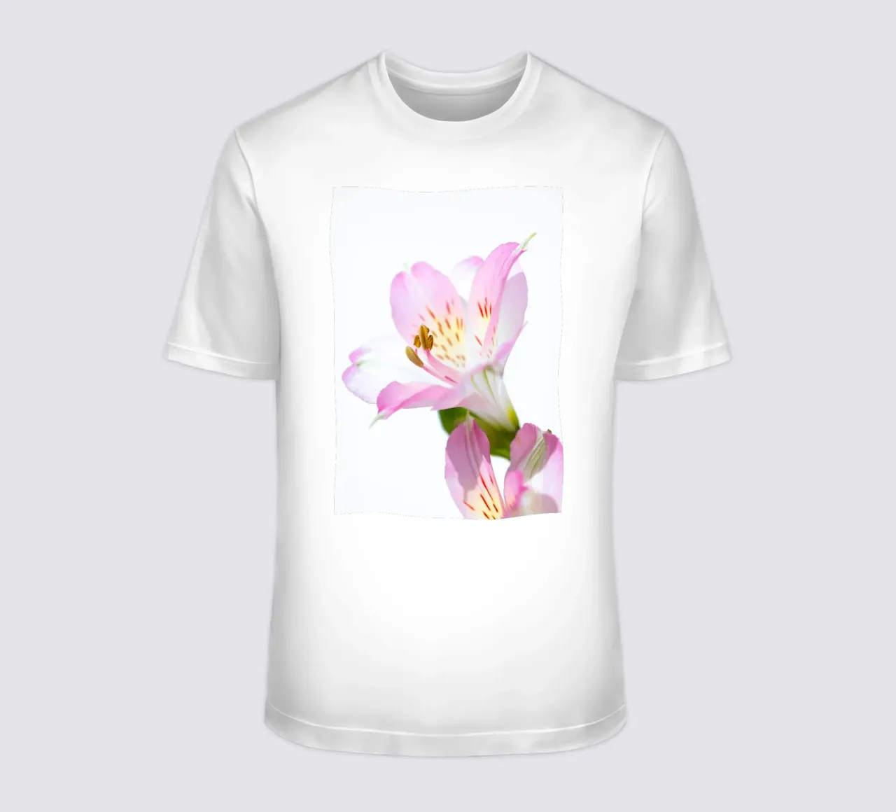 studi sulla flora #14 t-shirt da rafael campezato