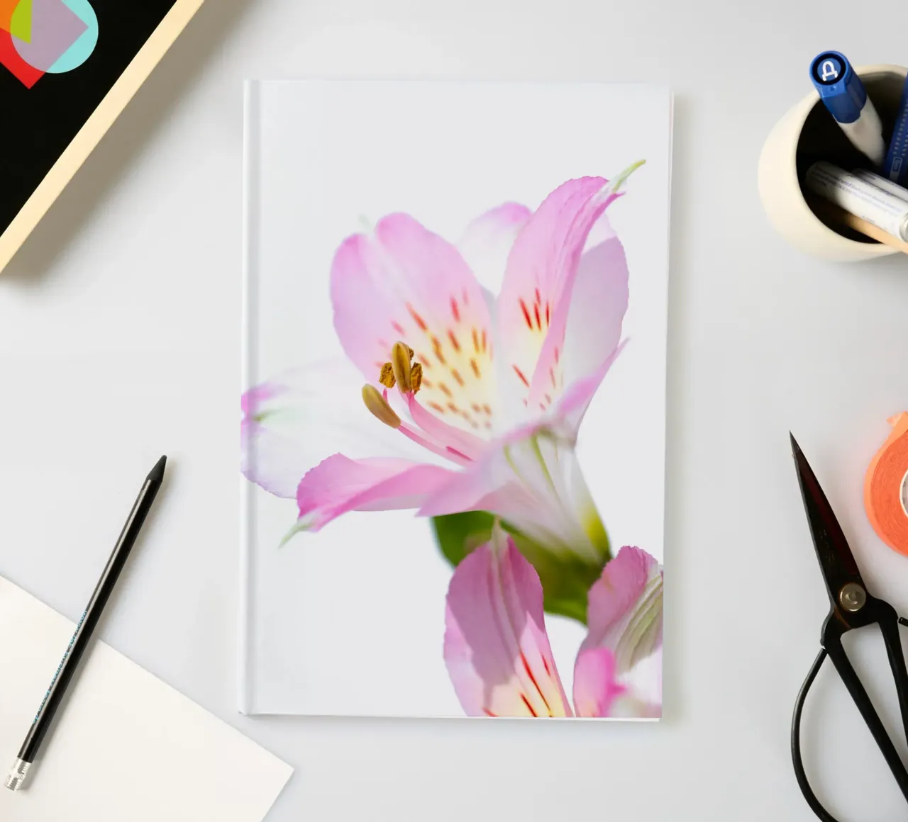 flora studies #14 Notizbuch von rafael campezato