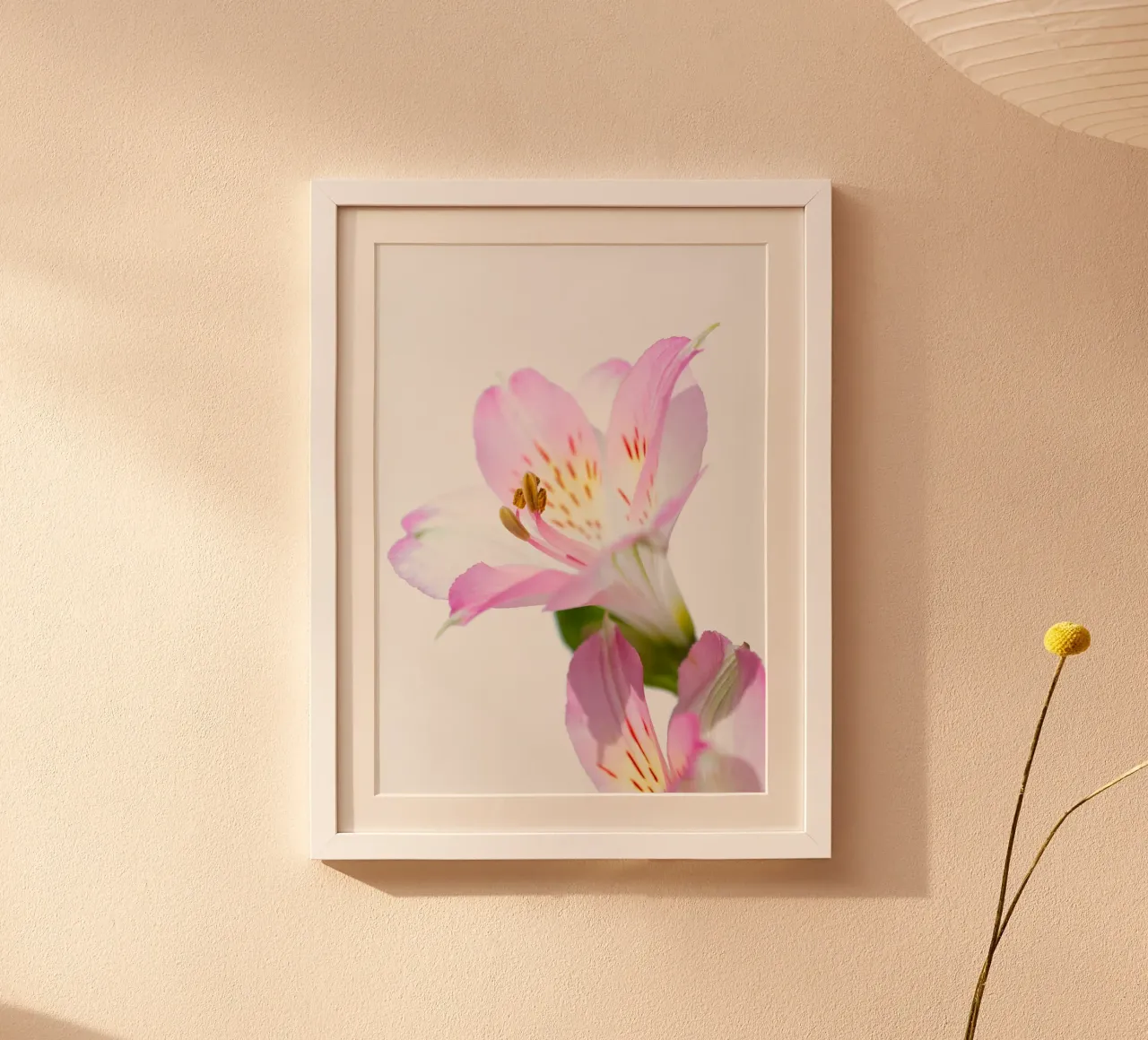 studi sulla flora #14 carta hahnemühle da rafael campezato