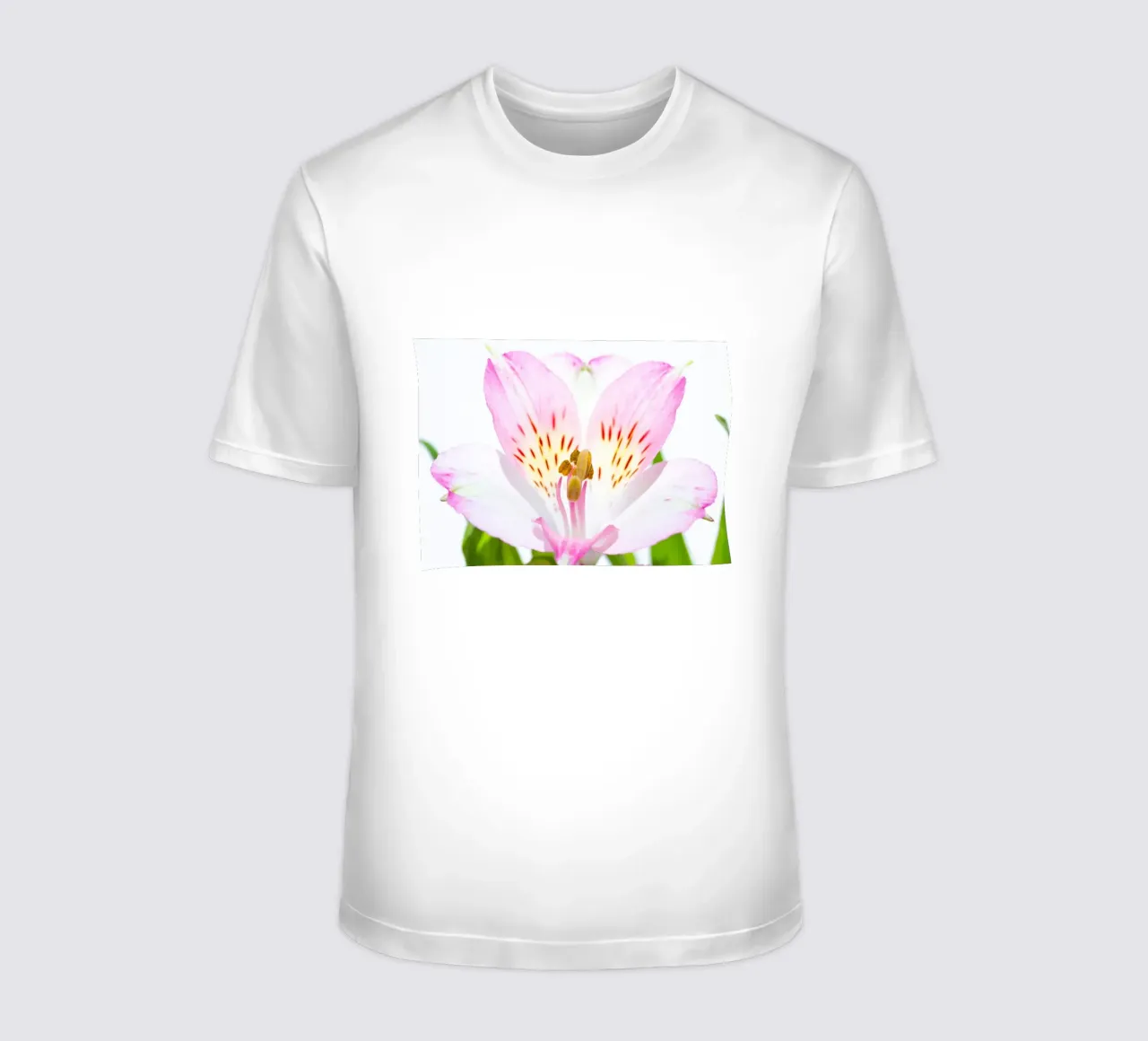 studi sulla flora #15 t-shirt da rafael campezato