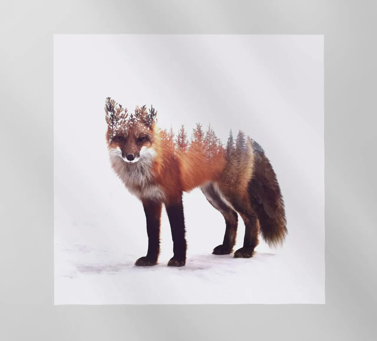 Winter Fox pellicola backlit da pegessert