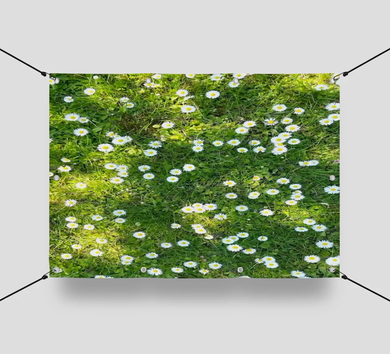 greenery plants light telo in pvc da prindy