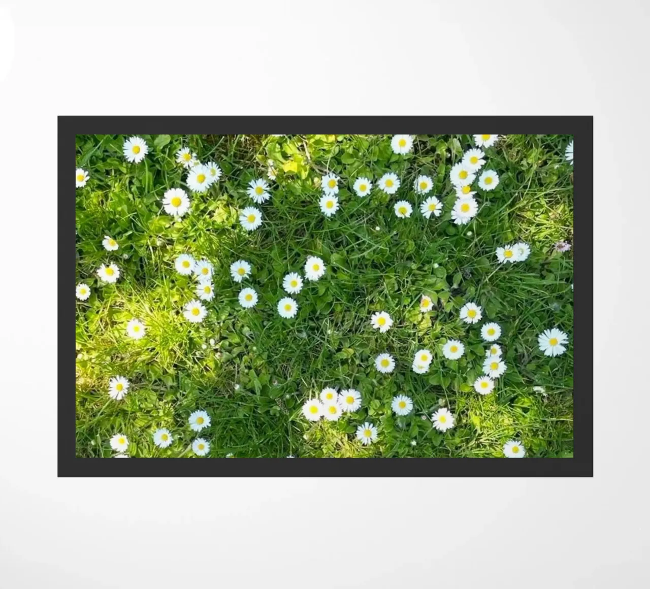 greenery plants light zerbino da prindy