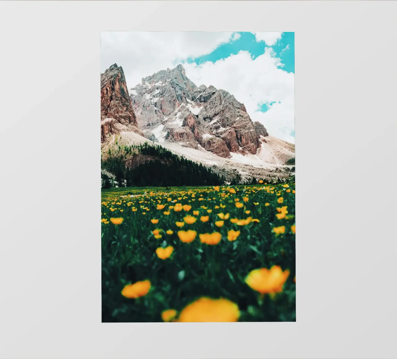 fiori di montagna telo in pvc da Nature's Palette