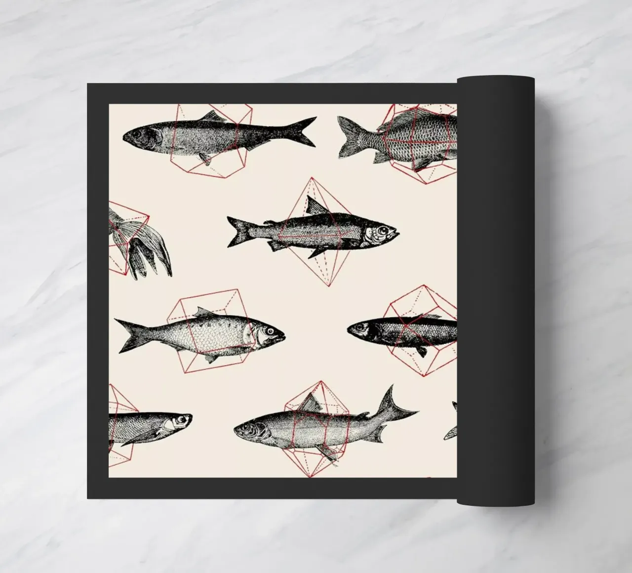 Fishes in Geometrics zerbino da Florent Bodart