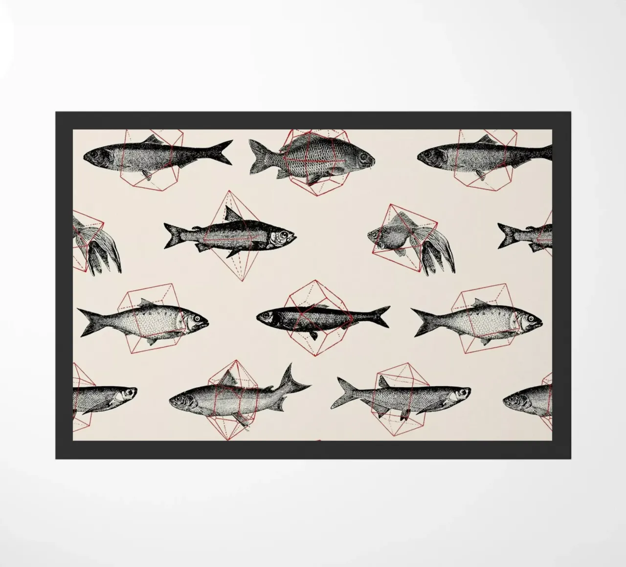 Fishes in Geometrics zerbino da Florent Bodart