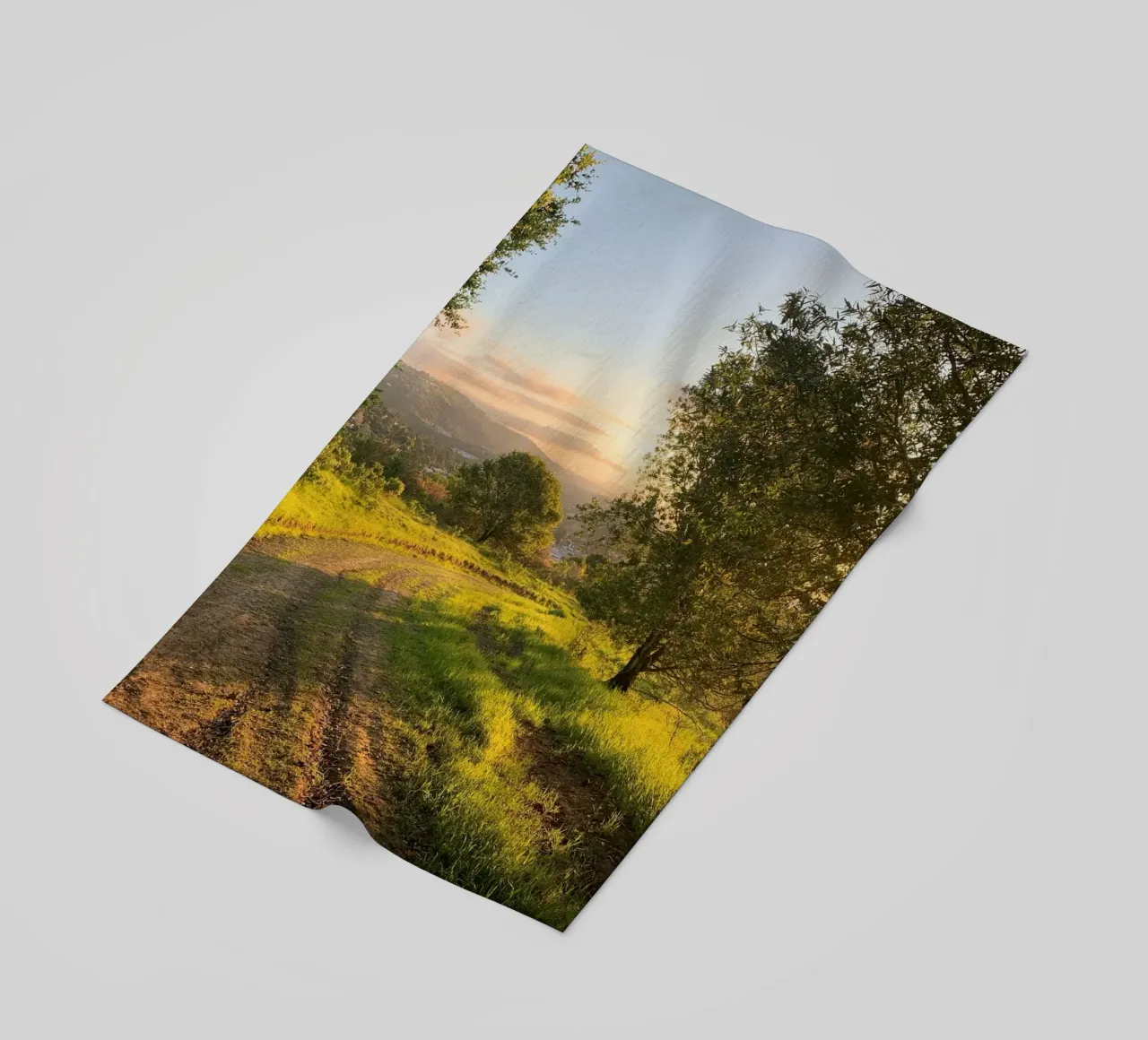 forest sunshine telo mare da cofa home
