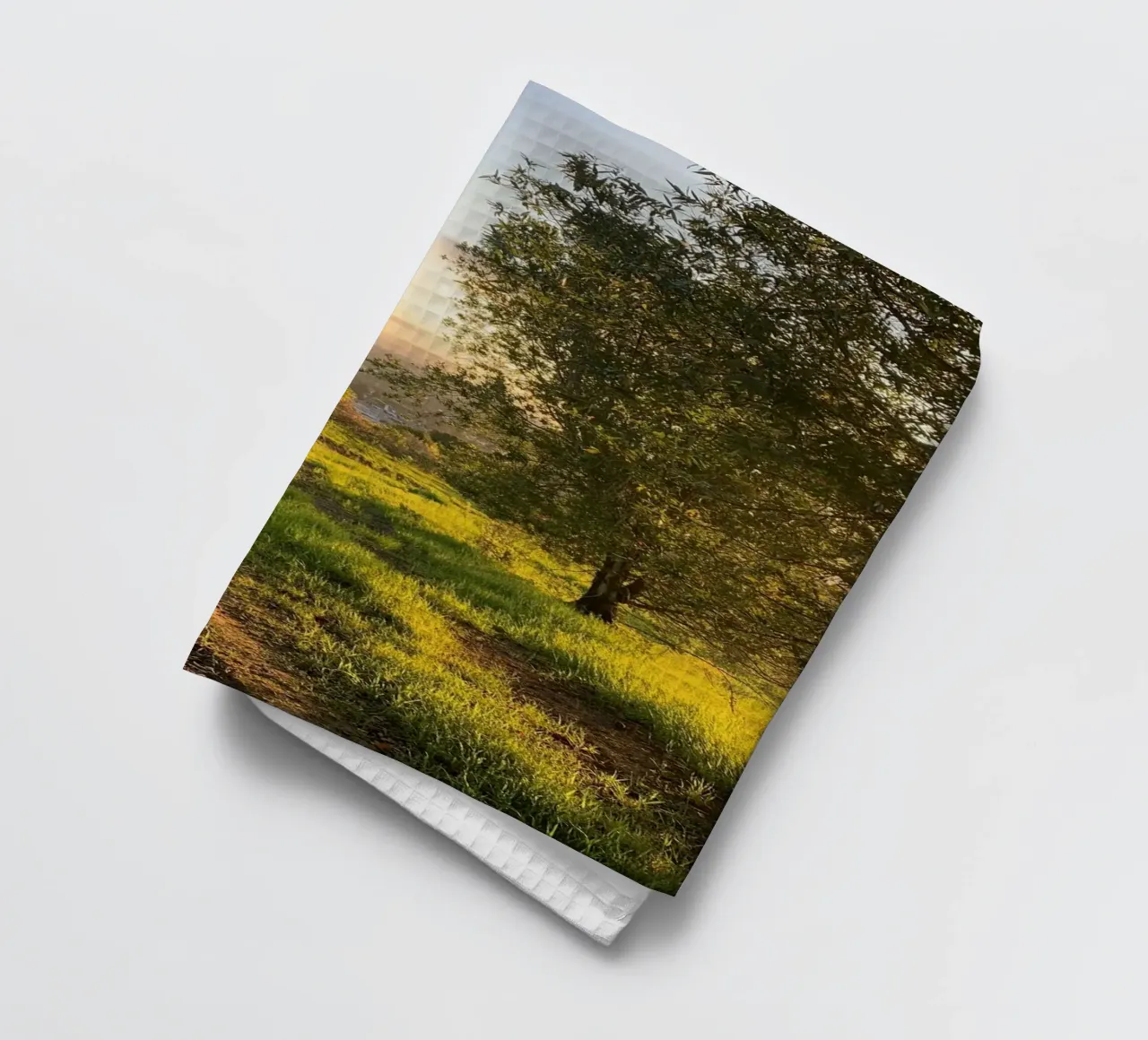 forest sunshine canovaccio da cucina da cofa home