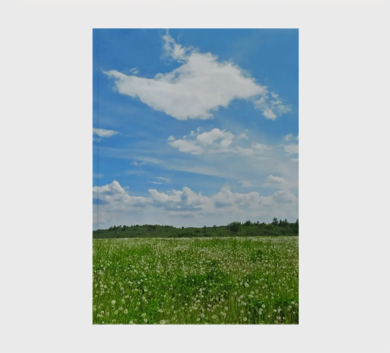 nature outdoors plants notebook by Horsire