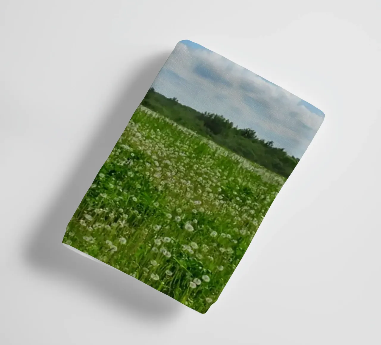nature outdoors plants towel by Horsire