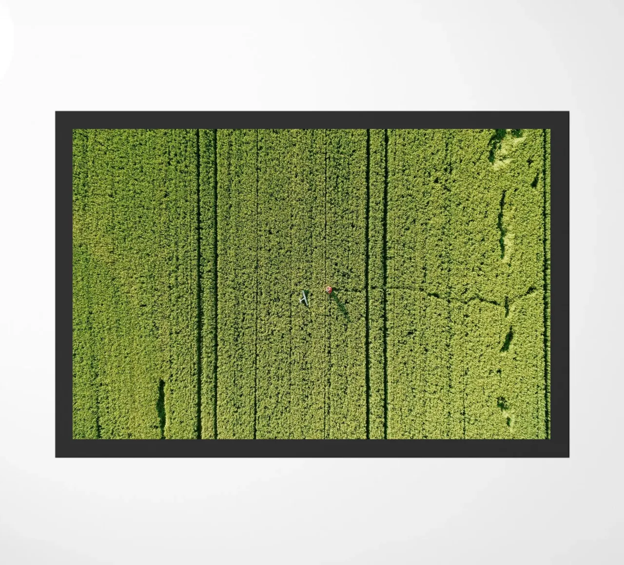 farming countryside zerbino da Horsire