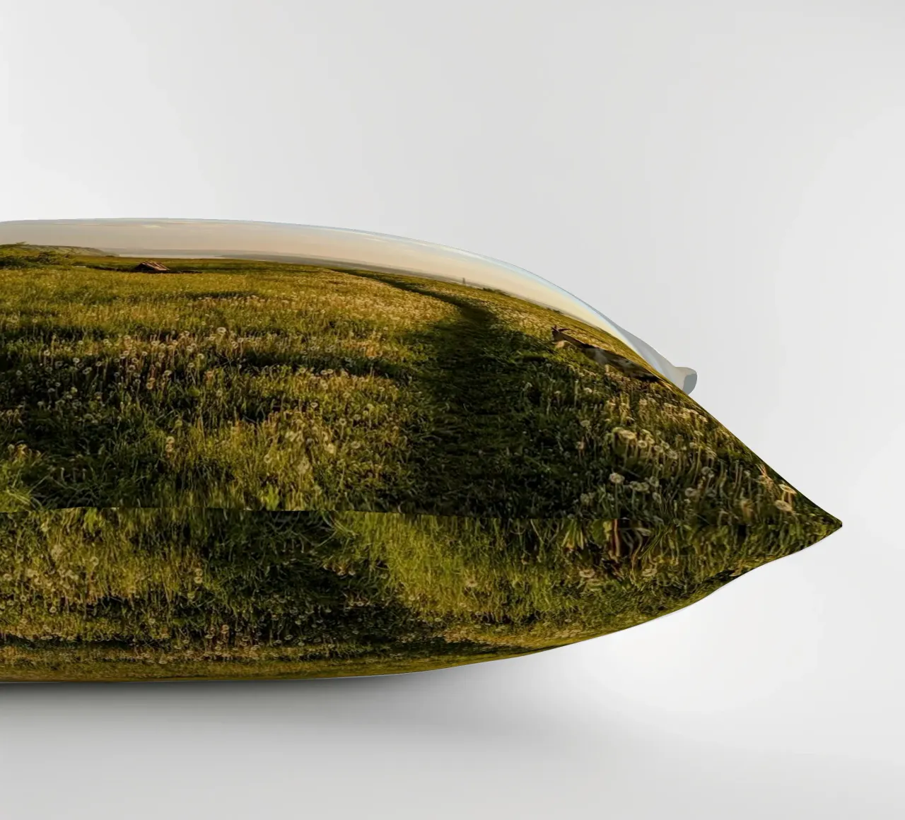 wildflowers sunlight decorative cushion by Horsire
