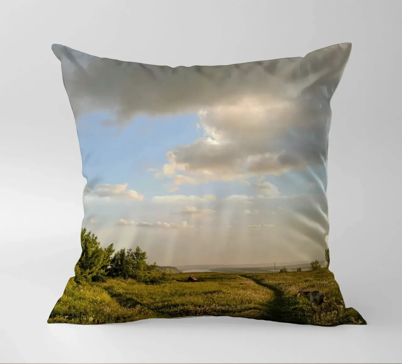 wildflowers sunlight decorative cushion by Horsire
