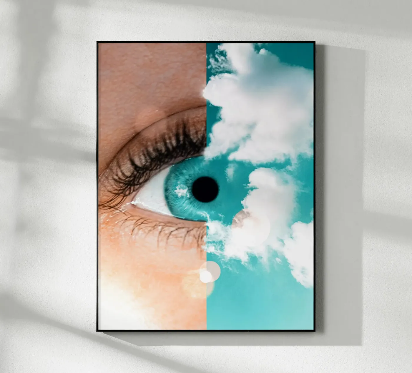 Skeye plexiglass da mofartmonica