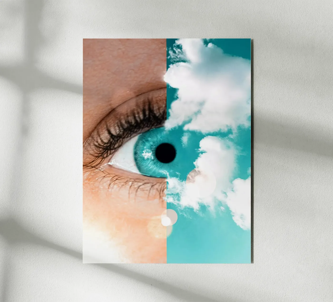 Skeye forex plate by mofartmonica