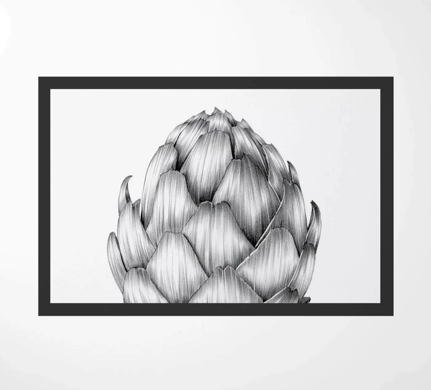 Artichoke zerbino da Faunesque