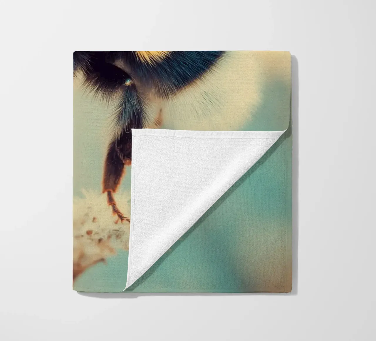 Calabrone telo mare da Pictura