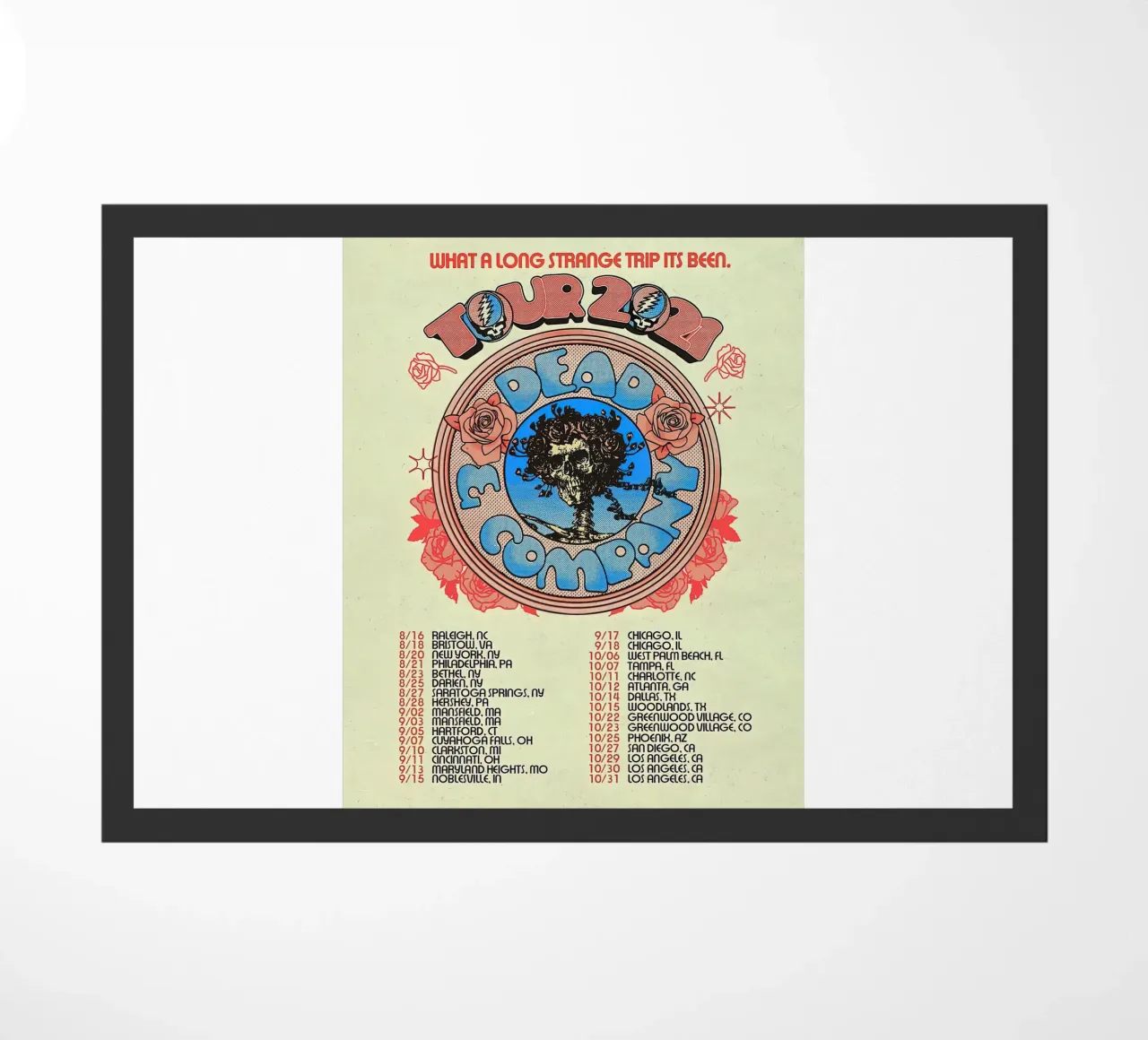 date del tour di dead and company zerbino da martina