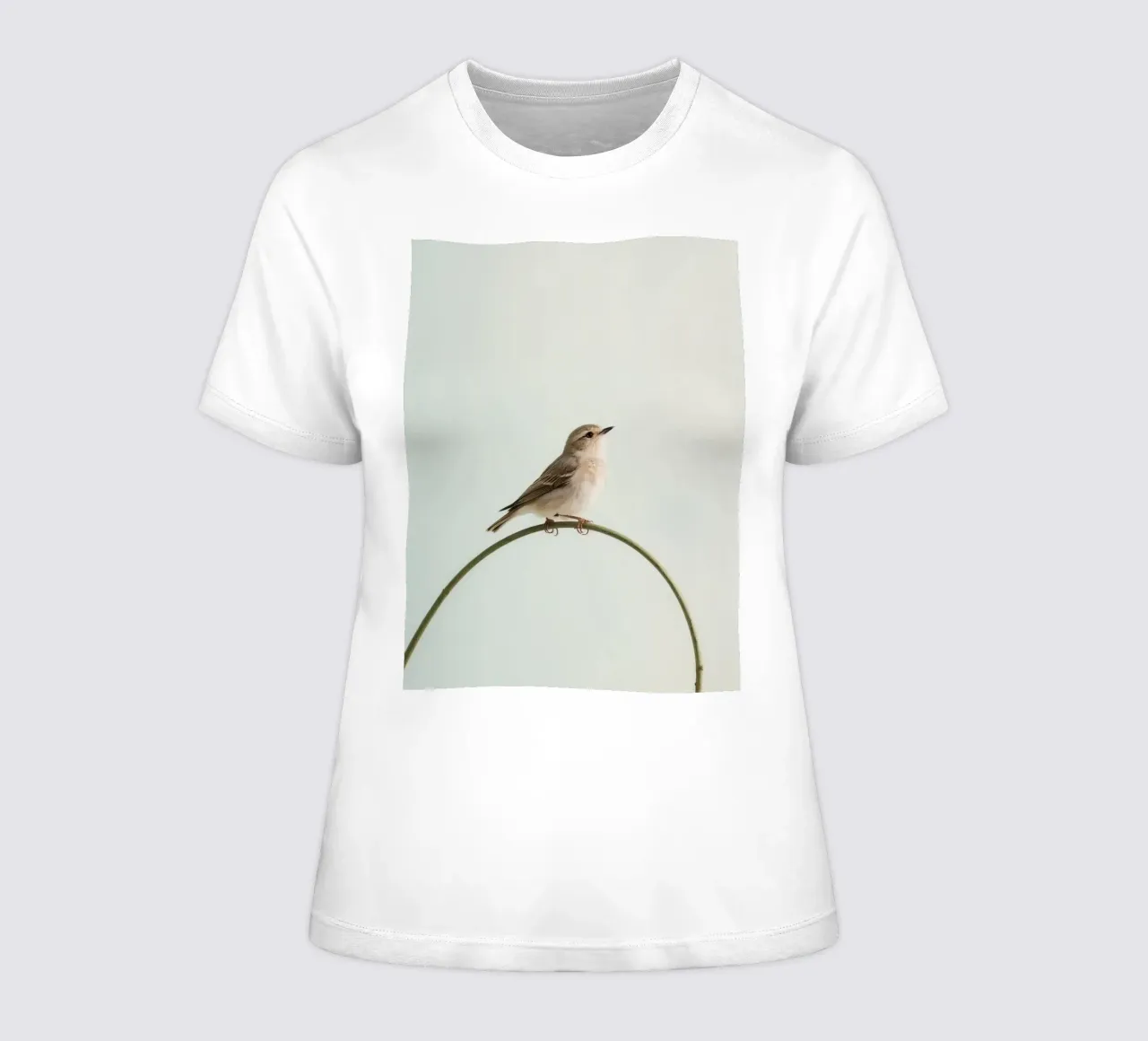 Bird perched on a curved branch women's fitted t-shirt by DesignDoodle