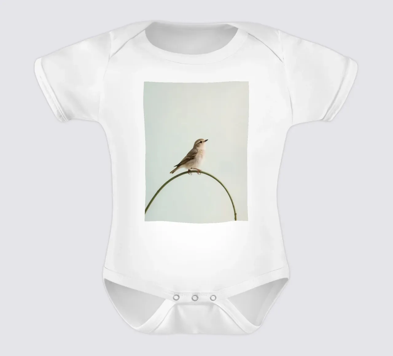 Bird perched on a curved branch short-sleeve baby romper by DesignDoodle
