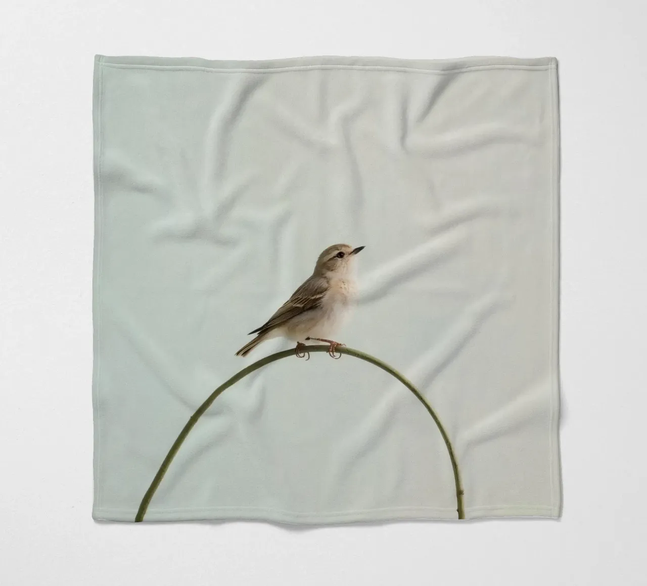 Uccello appollaiato su un ramo curvo coperta in pile da DesignDoodle