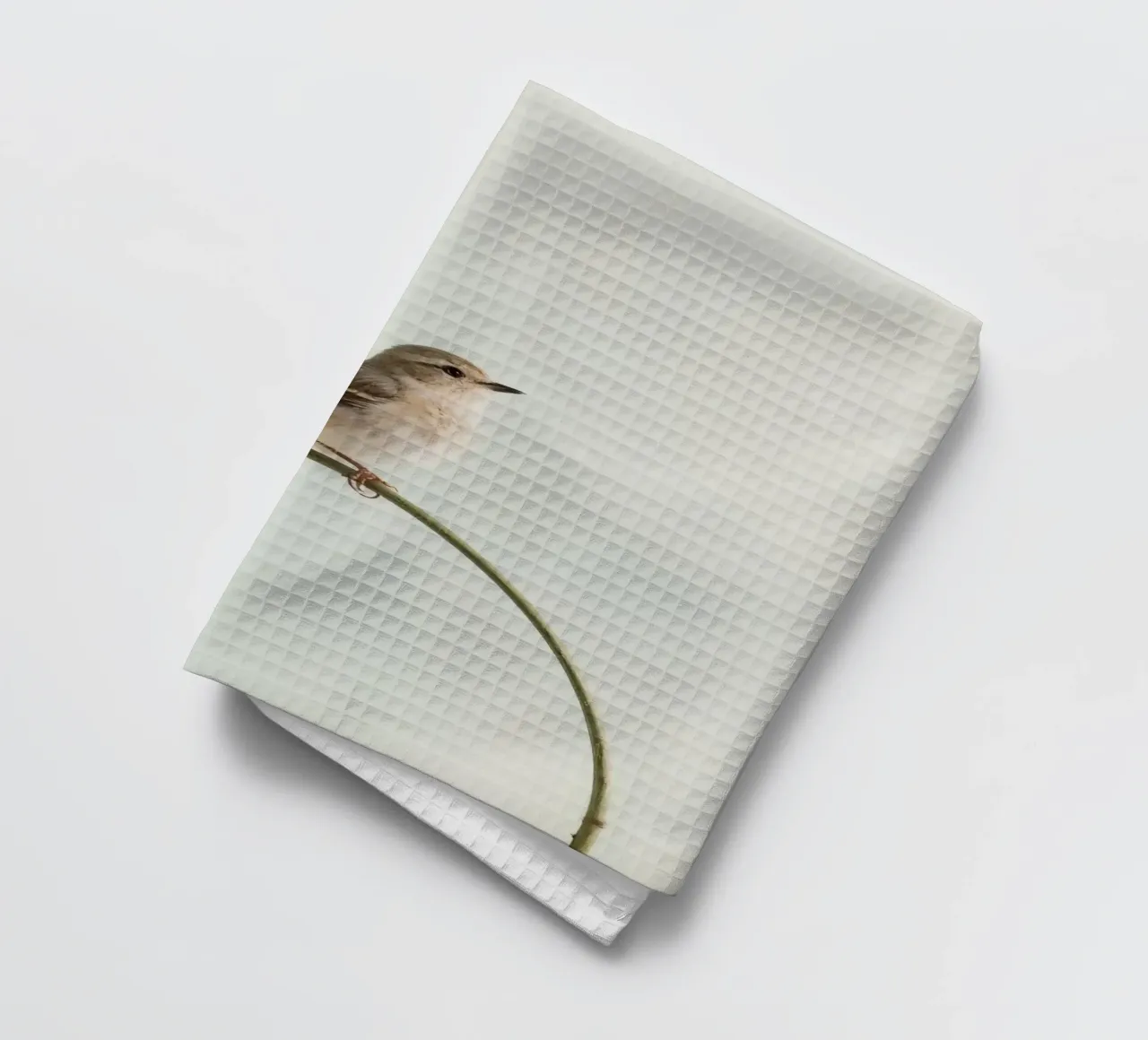Uccello appollaiato su un ramo curvo canovaccio da cucina da DesignDoodle