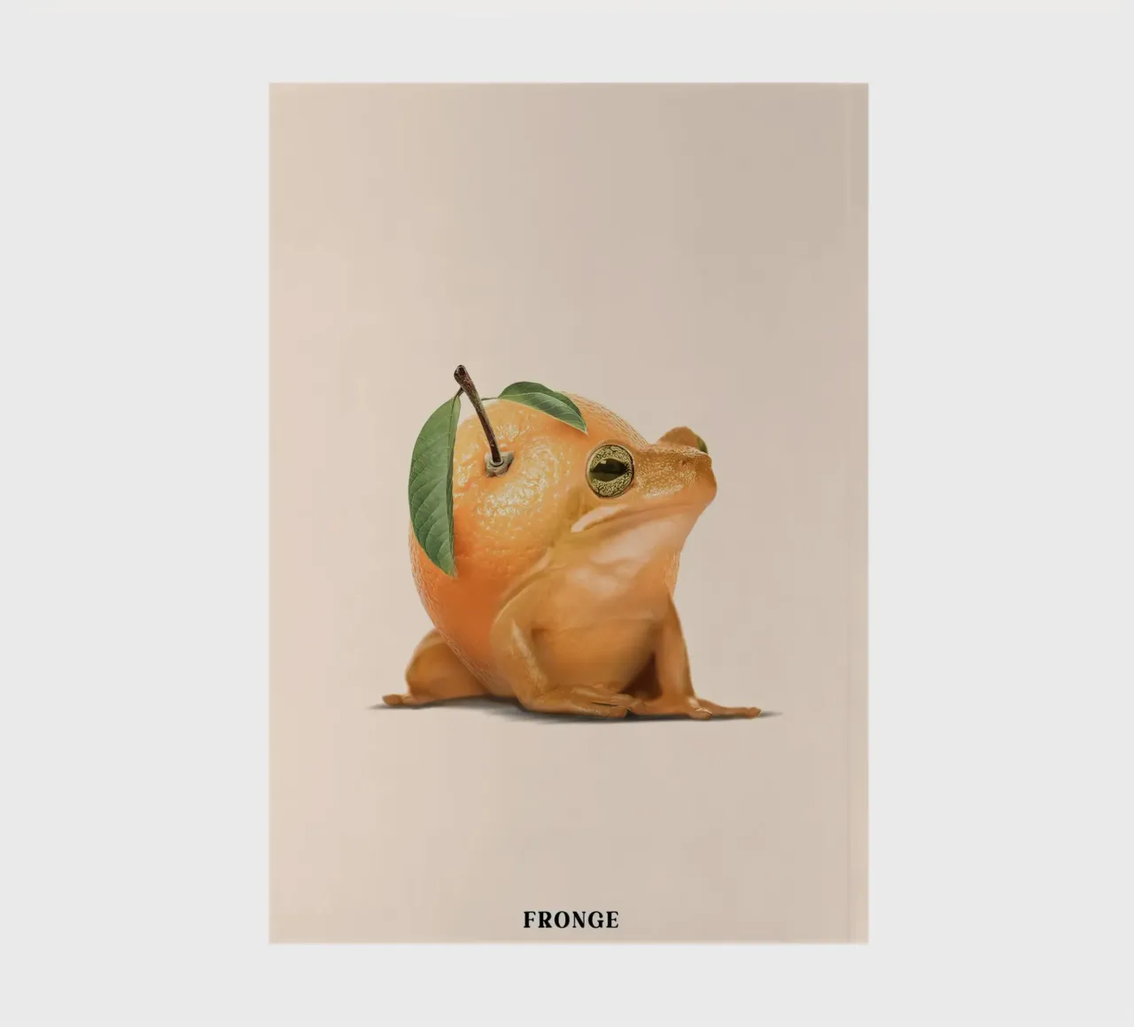 Fronge - Jonas Loose notebook by shaw post