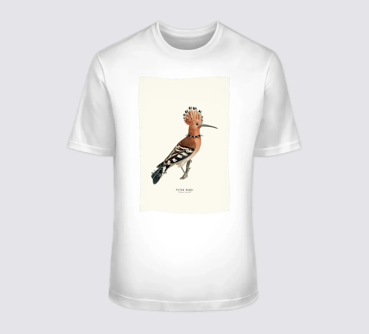Punk Bird - Jonas Loose t-shirt da shaw post