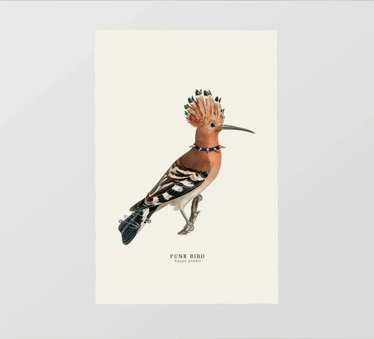 Punk Bird - Jonas Loose telo in pvc da shaw post