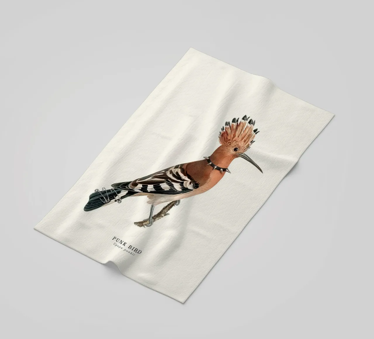 Punk Bird - Jonas Loose telo mare da shaw post