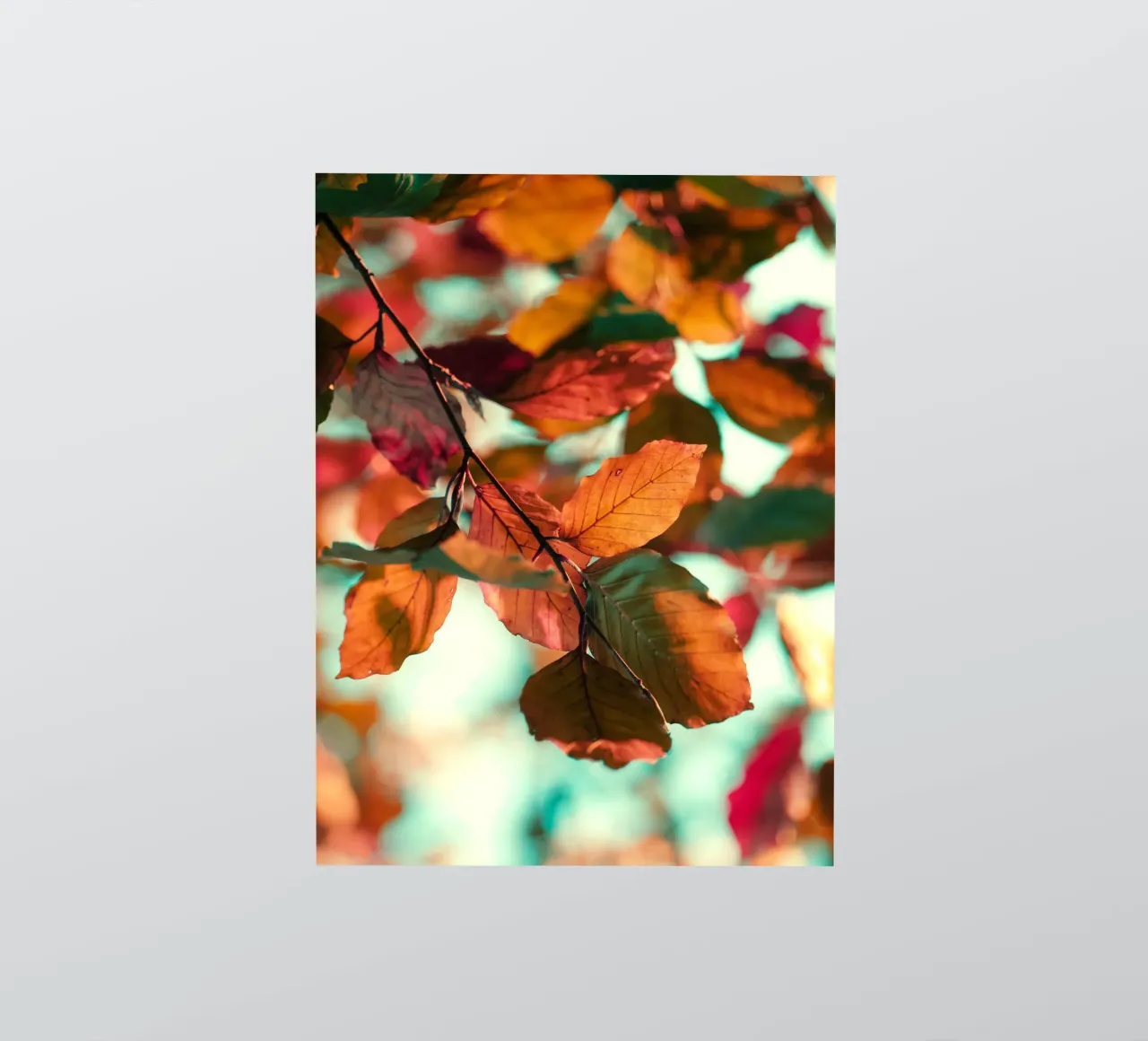 autumn leaves foliage sticker by Earthly Visions