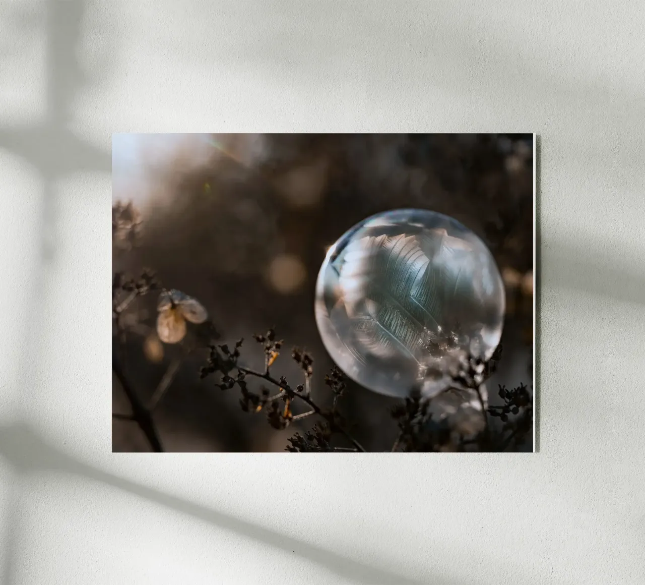 bubble feathers acryl van Earthly Visions