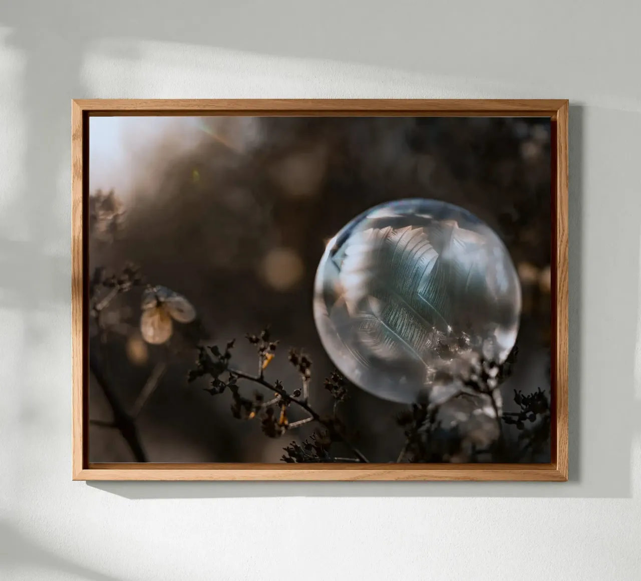 piume a bolle d'aria alluminio dibond da Earthly Visions