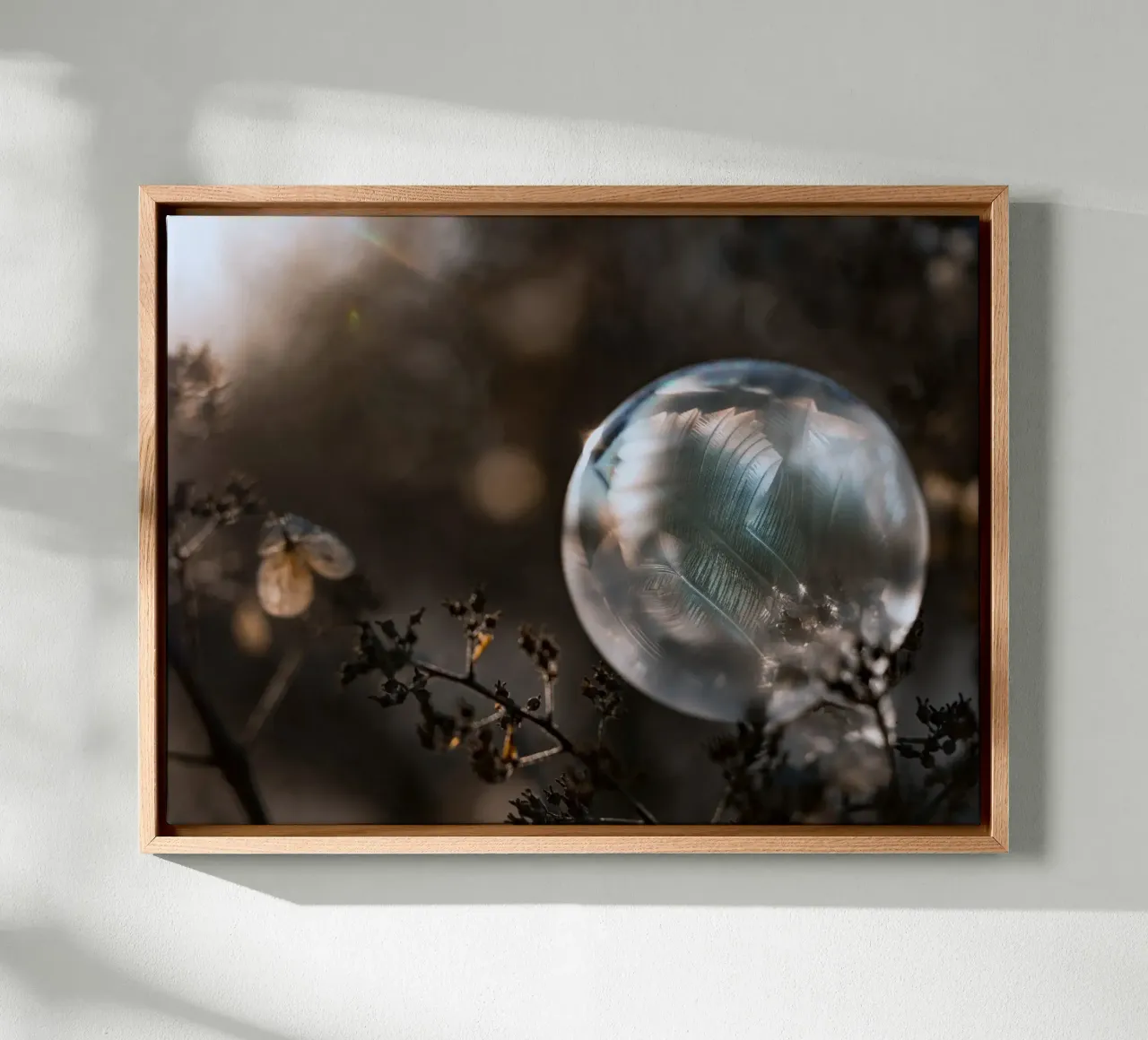 bubble feathers canvas by Earthly Visions