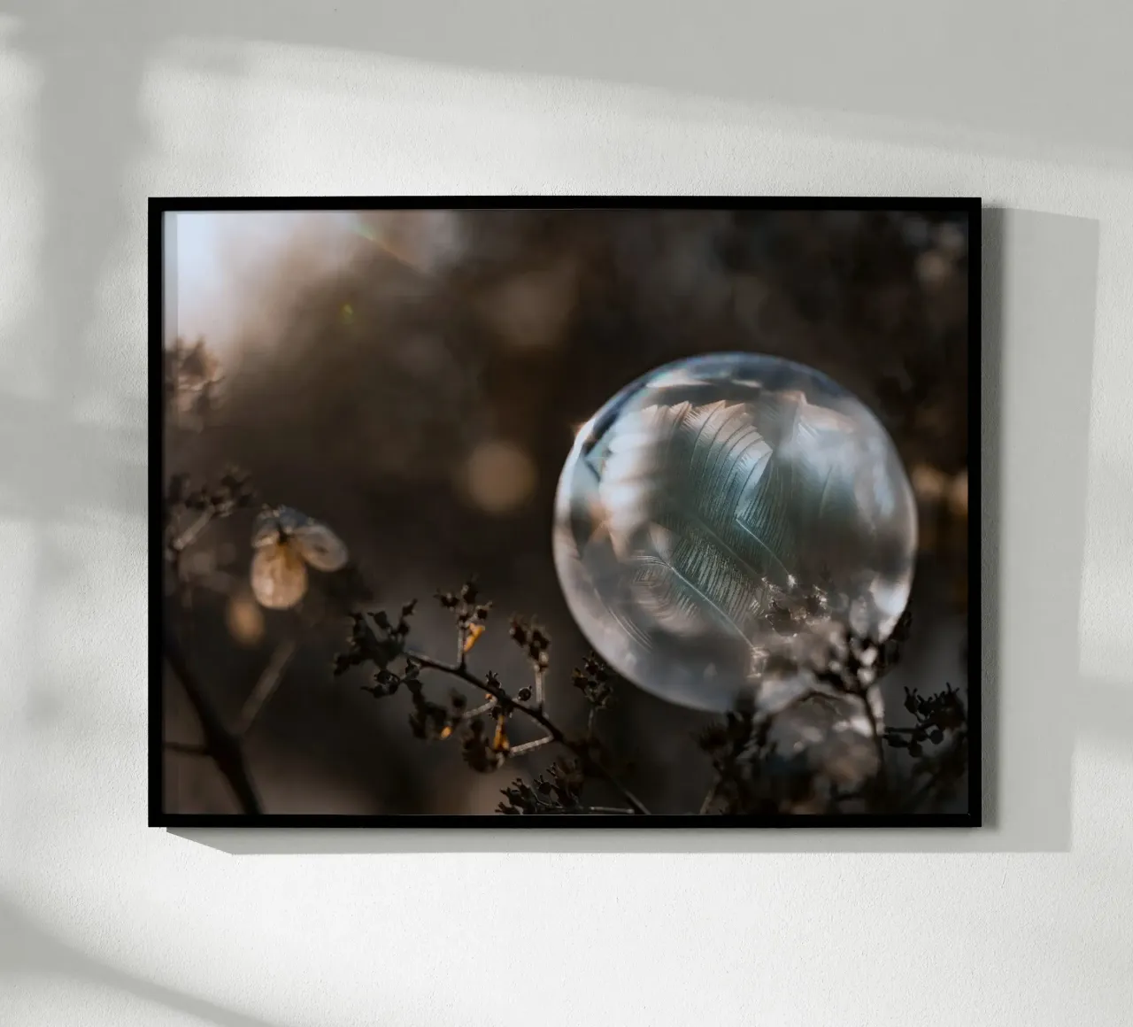 bubble feathers poster by Earthly Visions