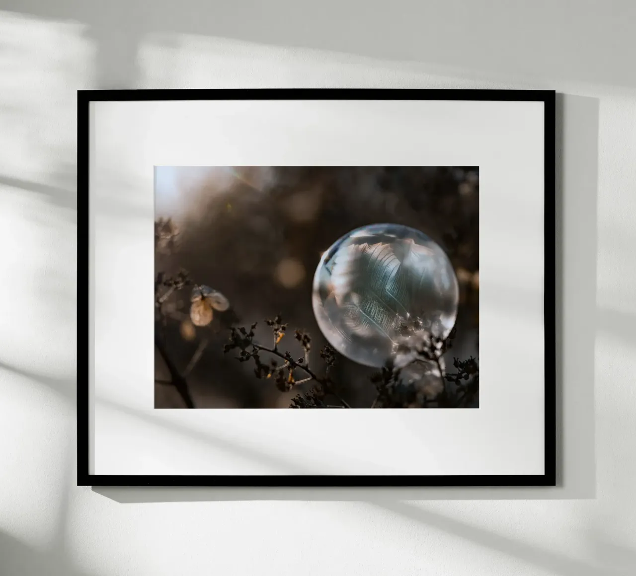 bubble feathers poster by Earthly Visions