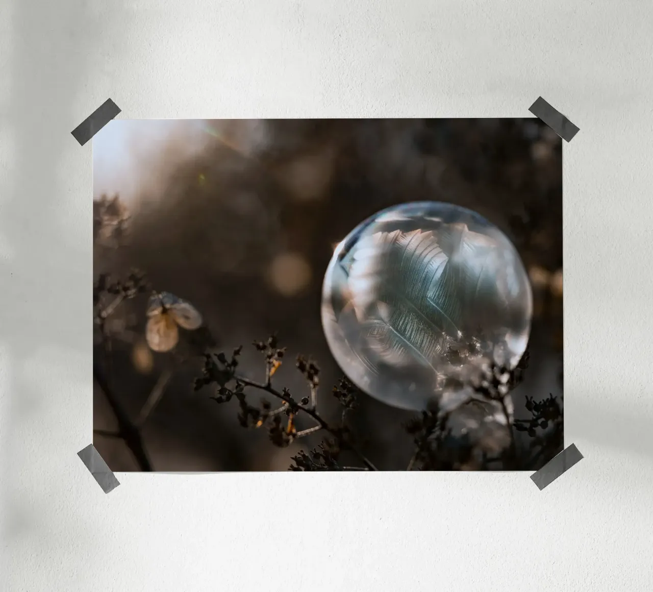 bubble feathers poster by Earthly Visions