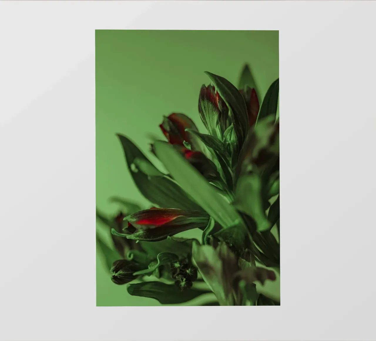 fiori foglie telo in pvc da Earthly Visions