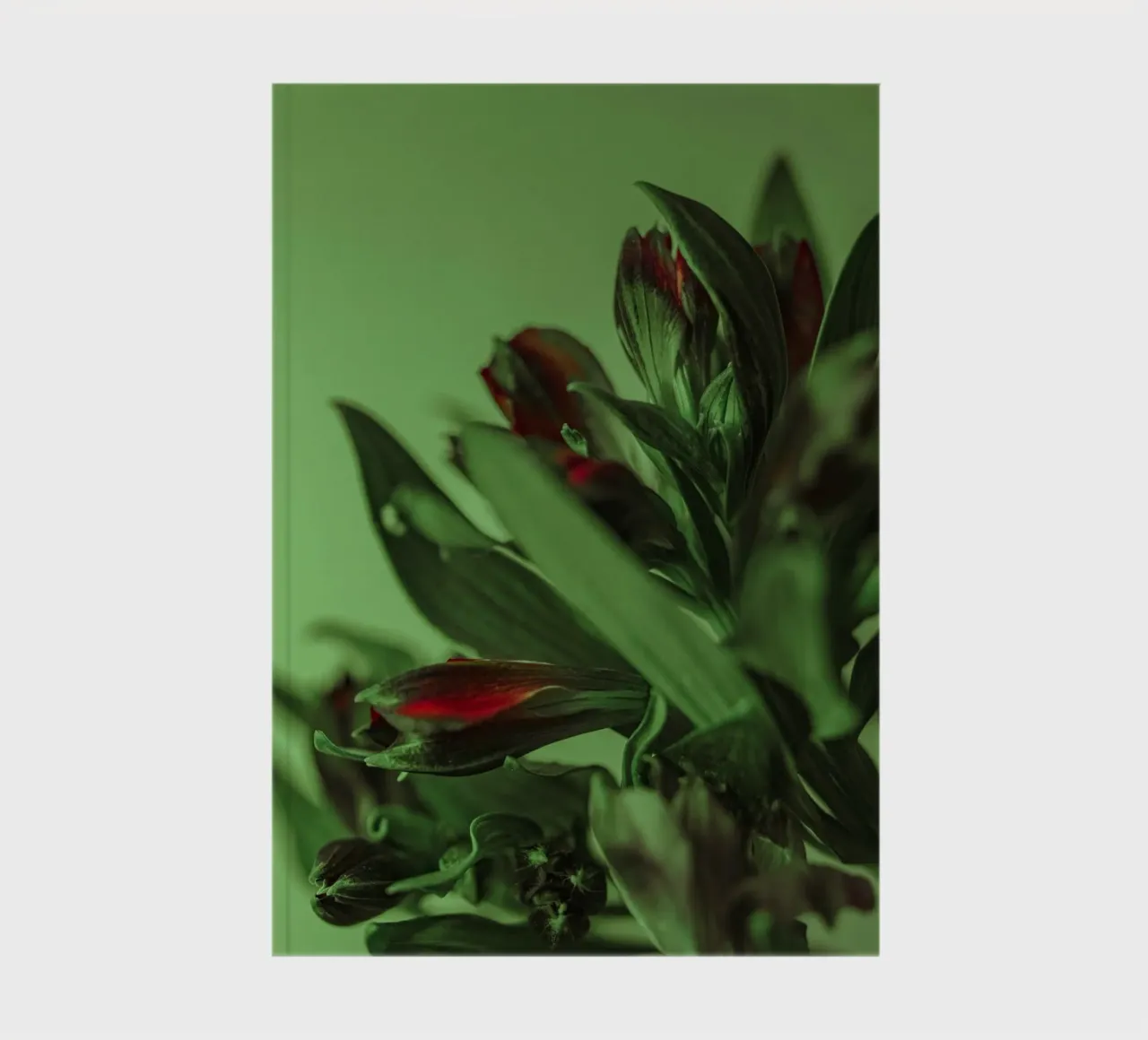 Blumen Blätter Notizbuch von Earthly Visions