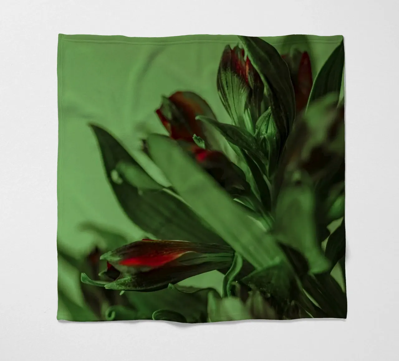 fiori foglie coperta in pile da Earthly Visions