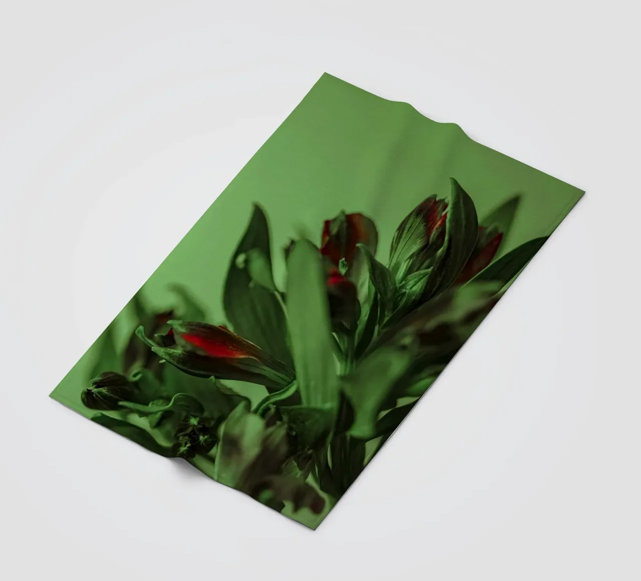 fiori foglie coperta in pile da Earthly Visions