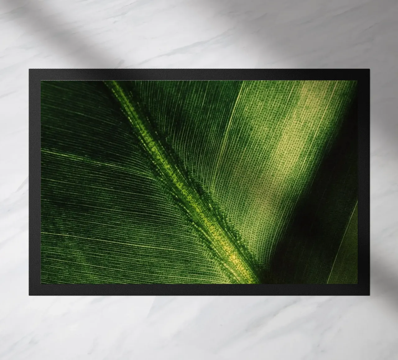 pianta fogliare zerbino da Earthly Visions