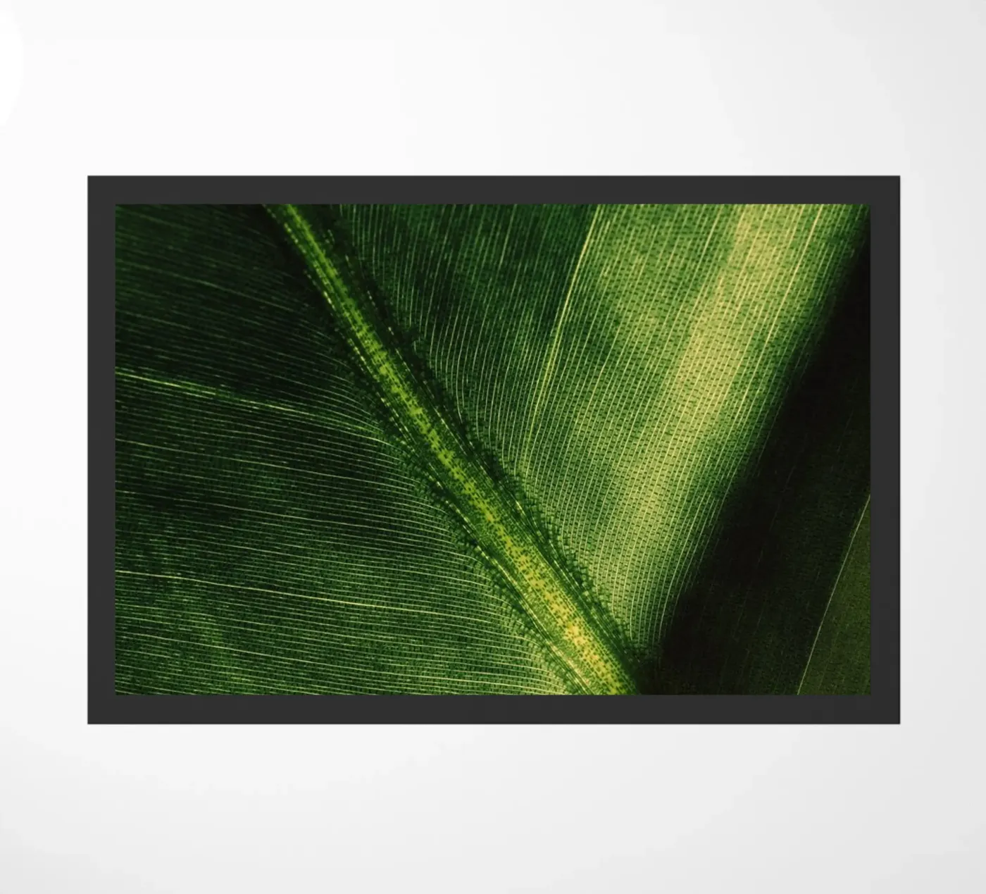 bladplant deurmat van Earthly Visions