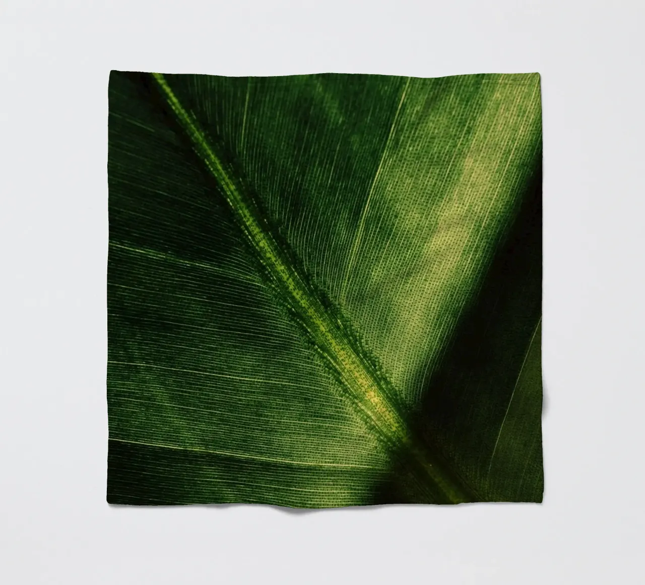 pianta fogliare coperta in pile da Earthly Visions
