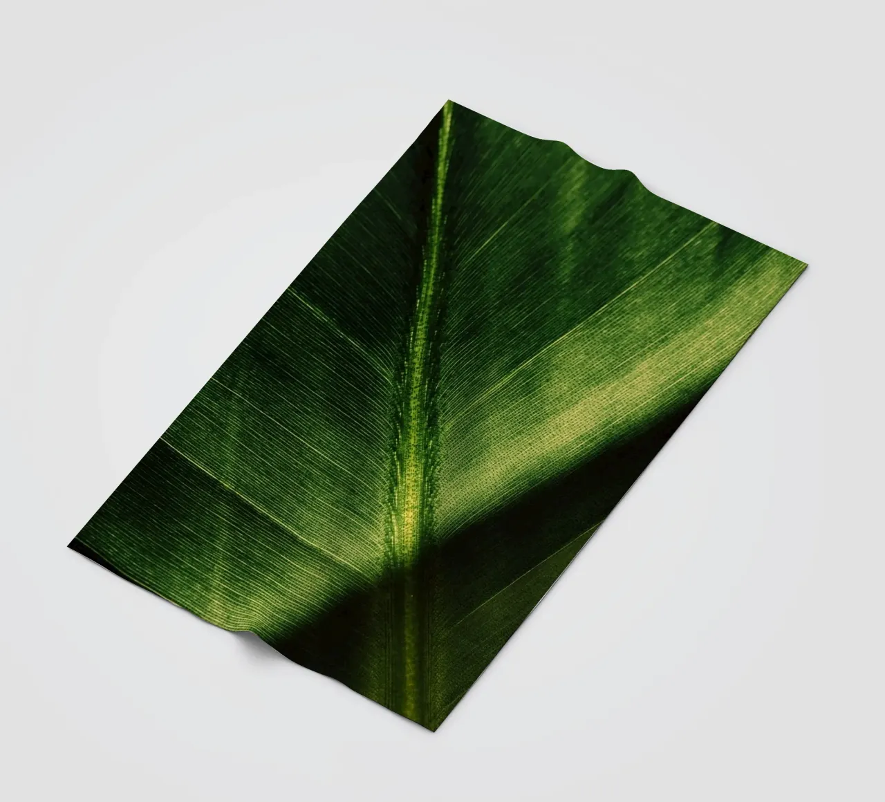 pianta fogliare coperta in pile da Earthly Visions