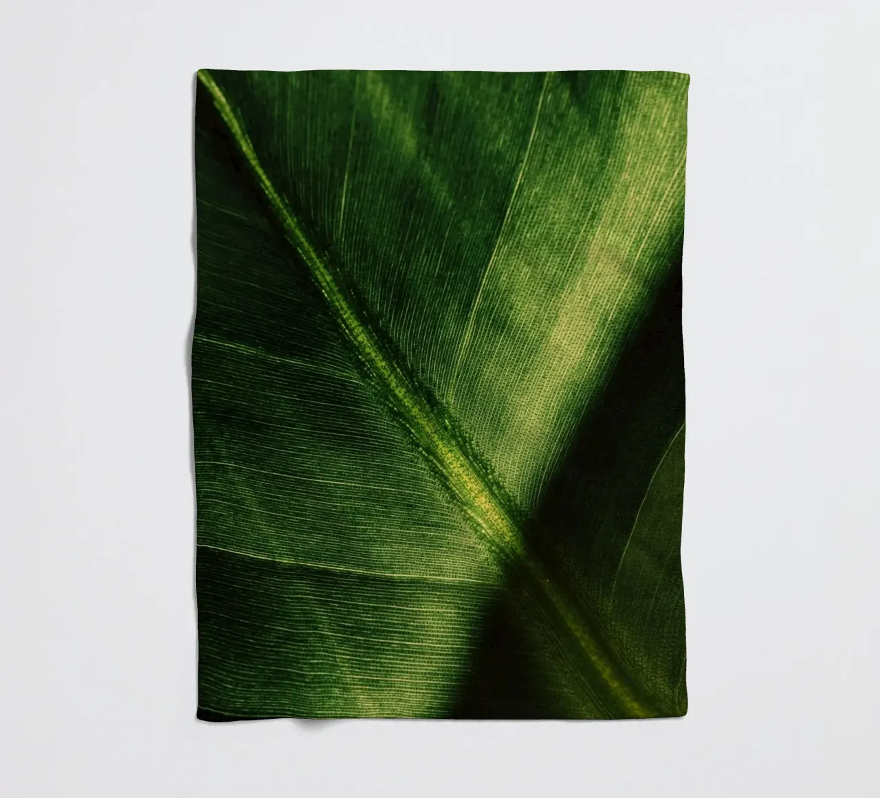 pianta fogliare coperta in pile da Earthly Visions