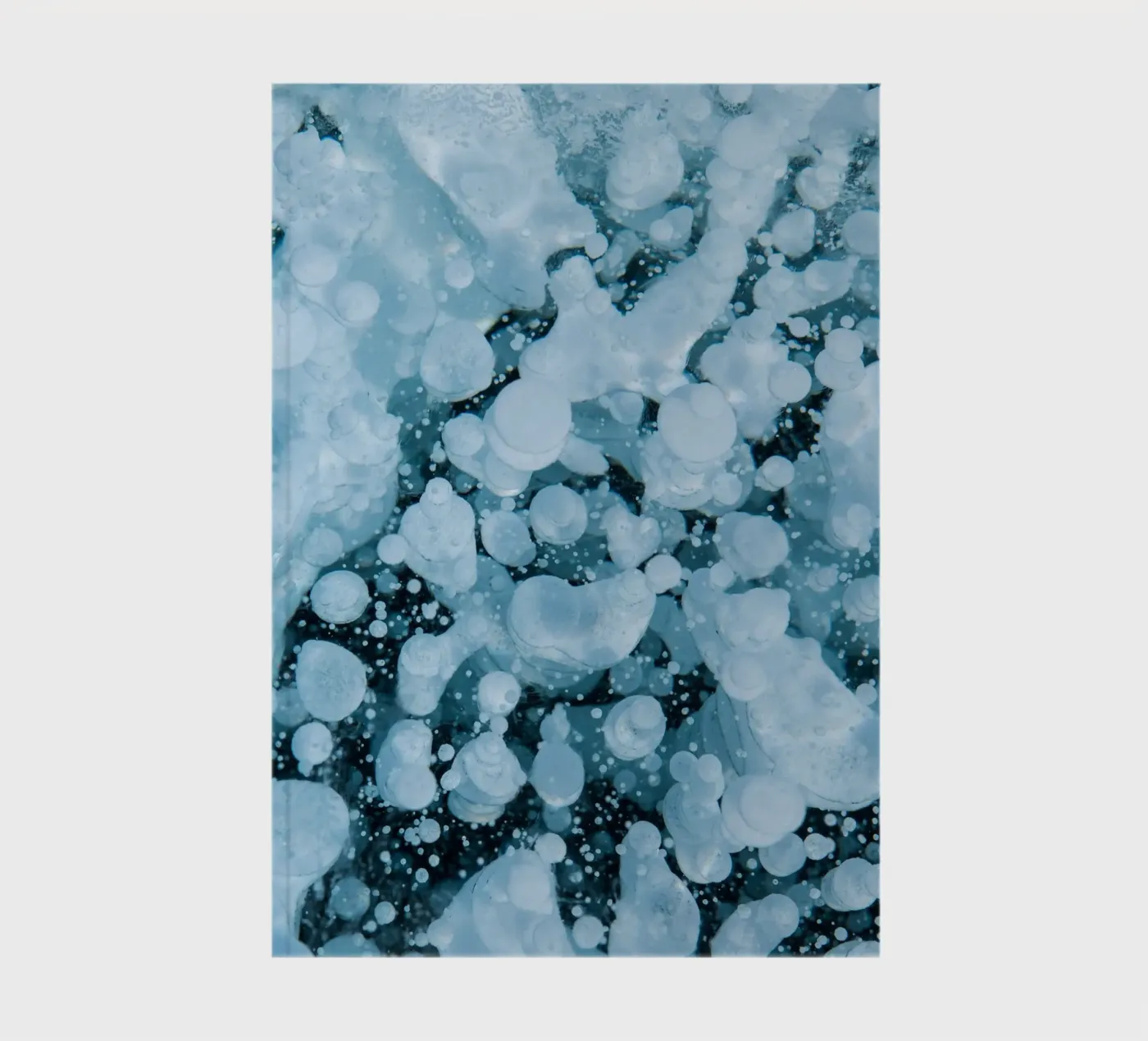 bubbles ice notebook by Earthly Visions