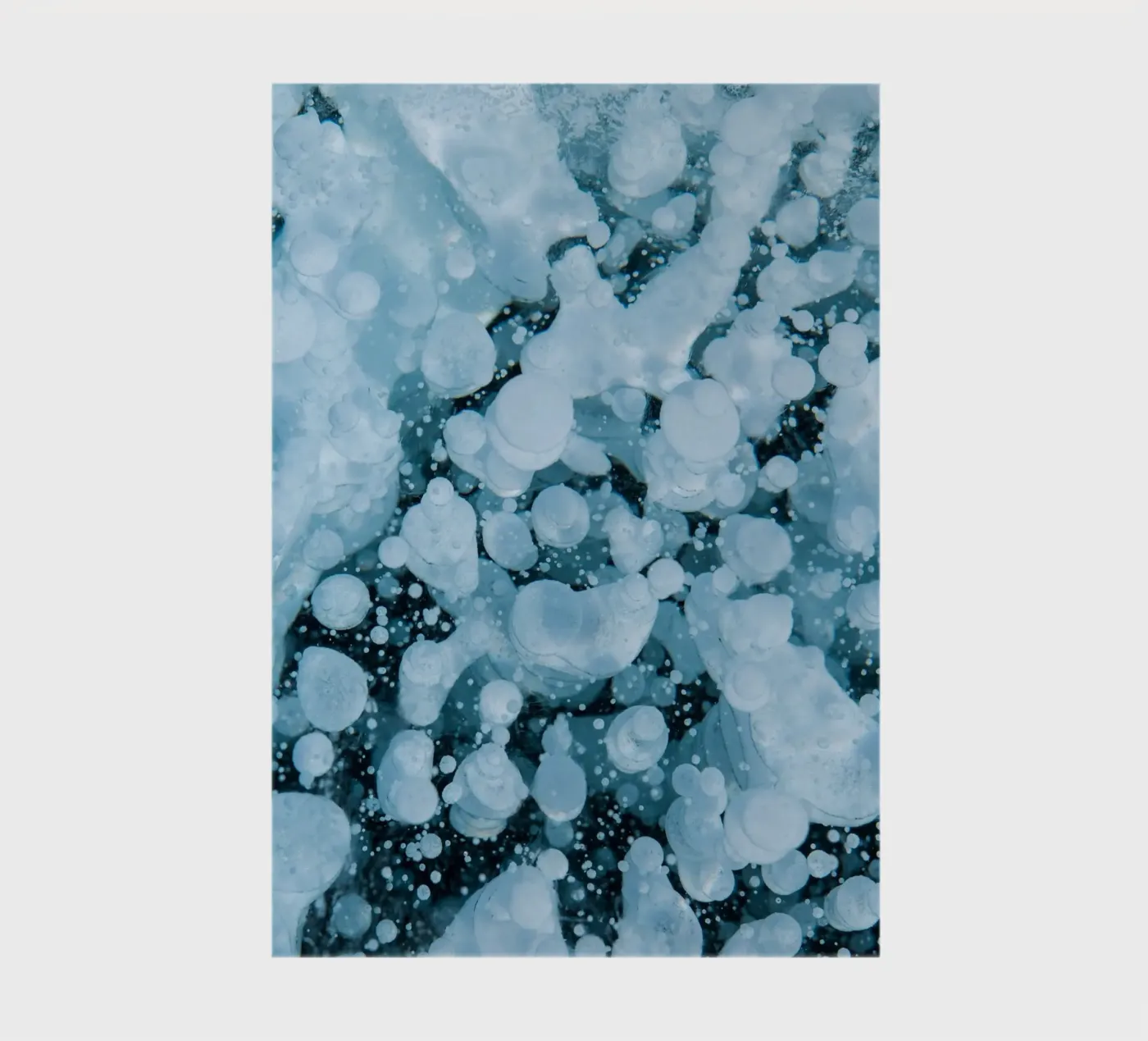 bubbles ice notebook by Earthly Visions