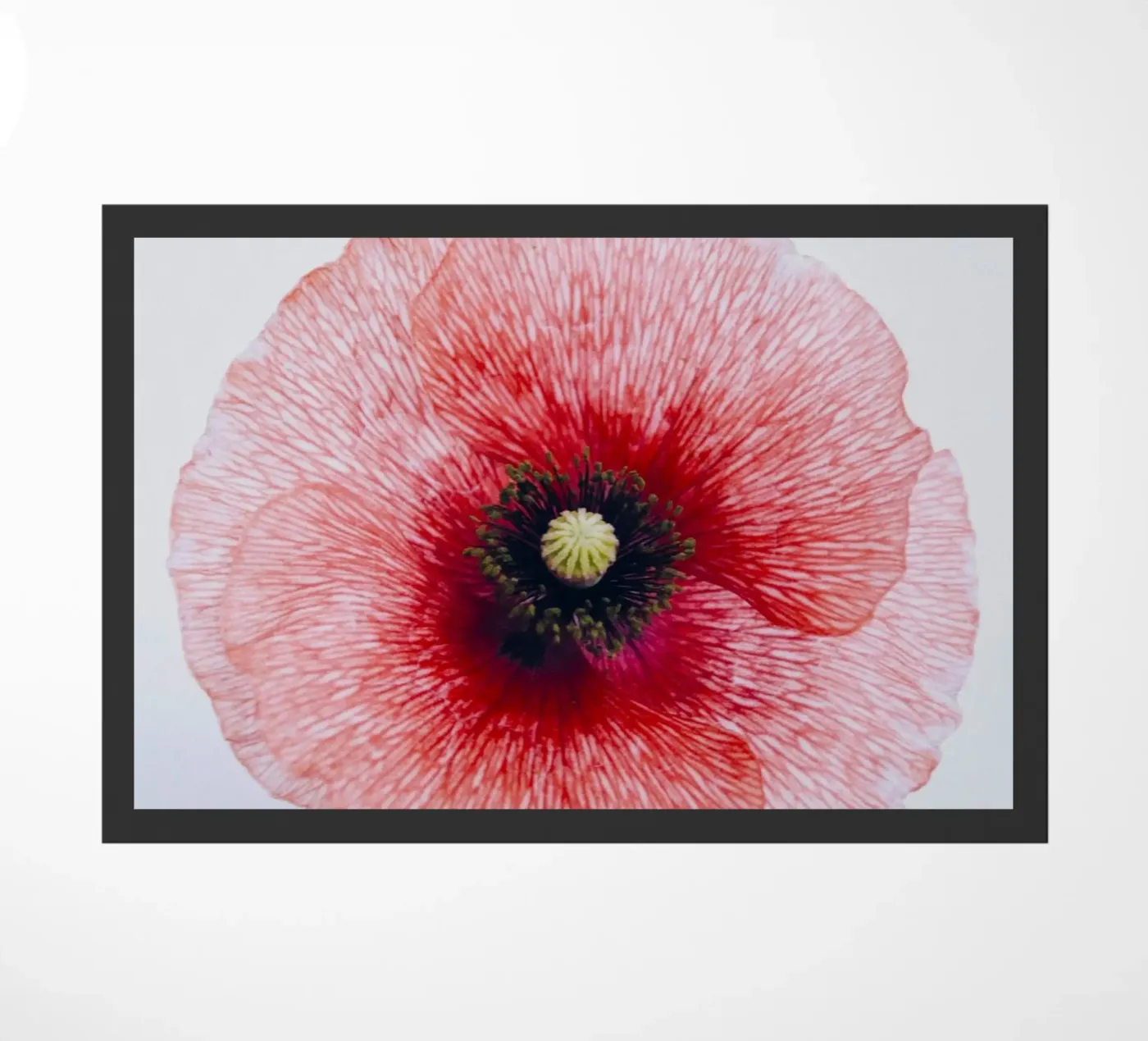 klaproos deurmat van Earthly Visions