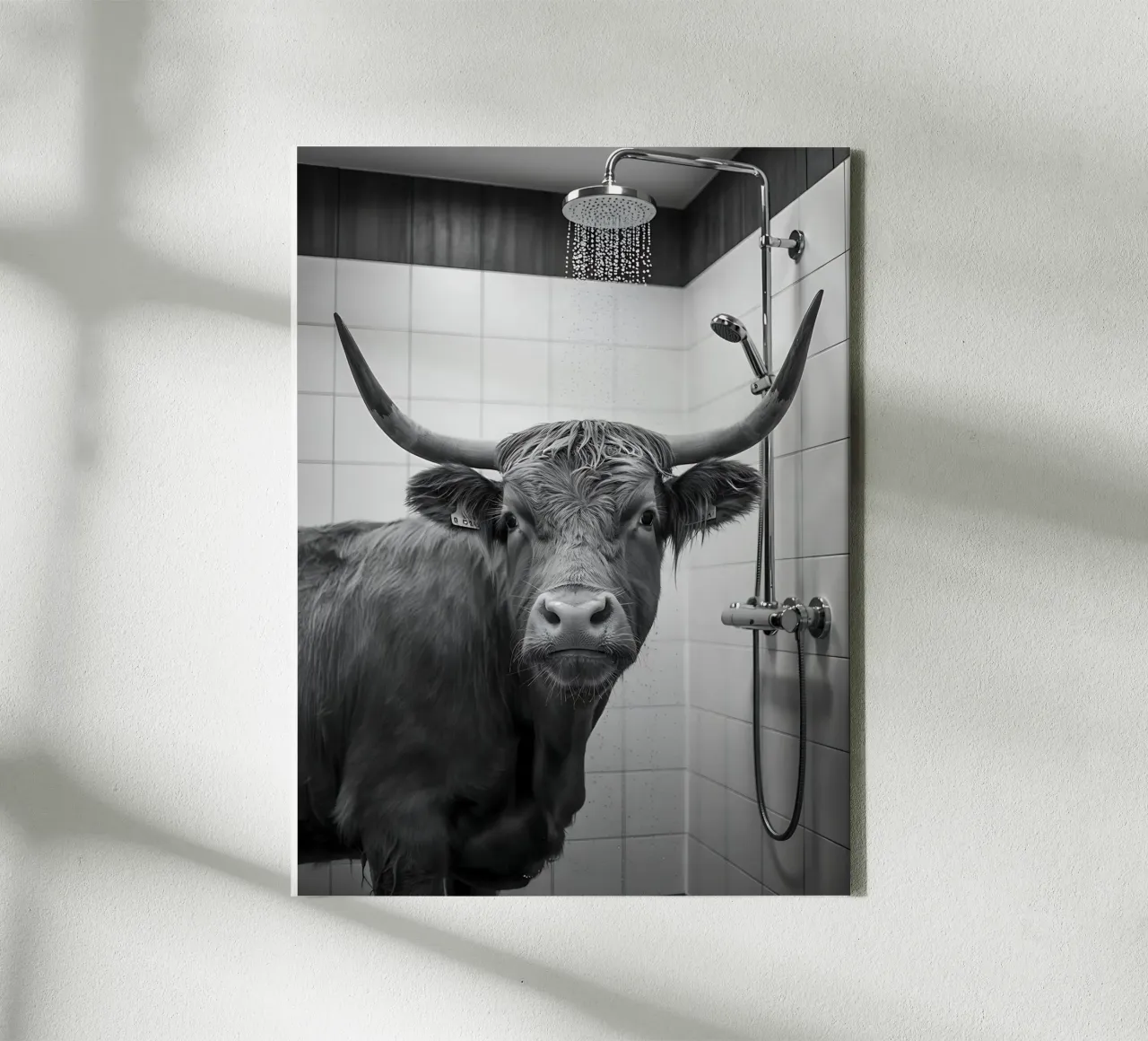 Mucca scozzese in bagno tela con Cornice a cassetta da Plain Thoughts
